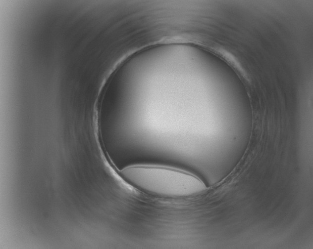 X0000072931476200607210919