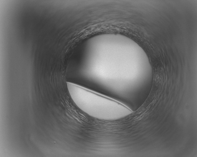 X0000072931490200607210918