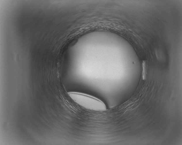 X0000072931491200607210918