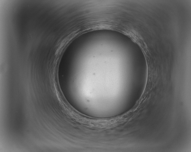 X0000072930001200607211139