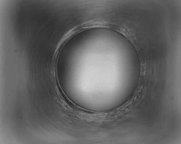 X0000072930004200607211139