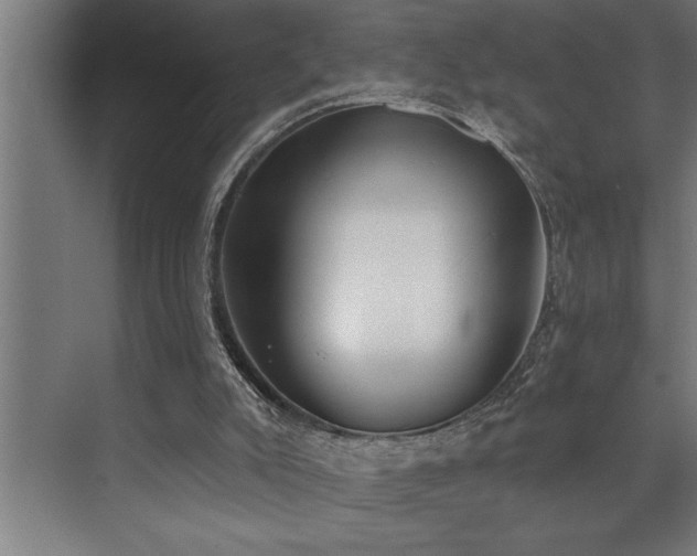 X0000072930007200607211139