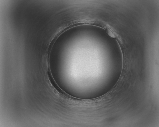 X0000072930011200607211139