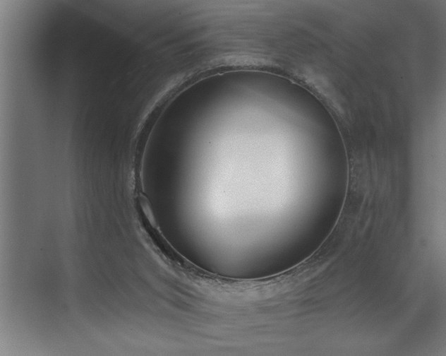 X0000072930015200607211139