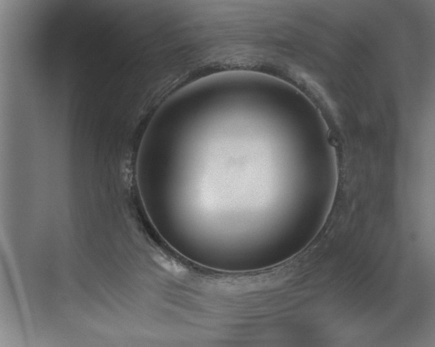 X0000072930017200607211139
