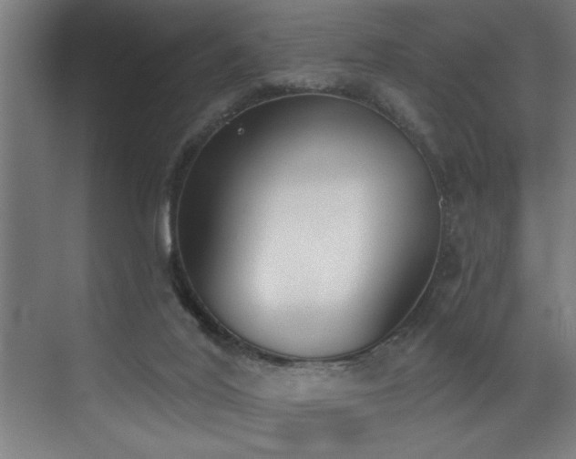 X0000072930020200607211139