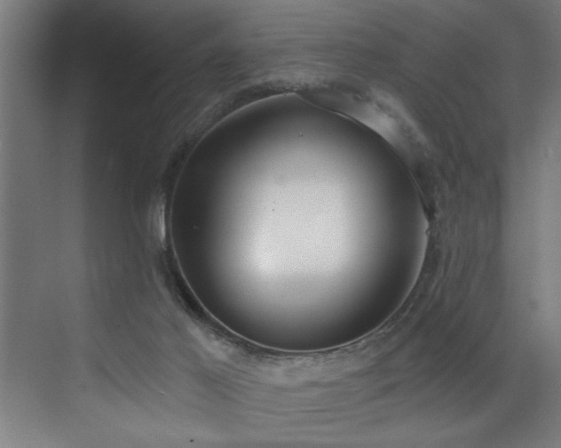 X0000072930021200607211139