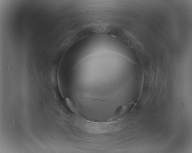 X0000072930035200607211139