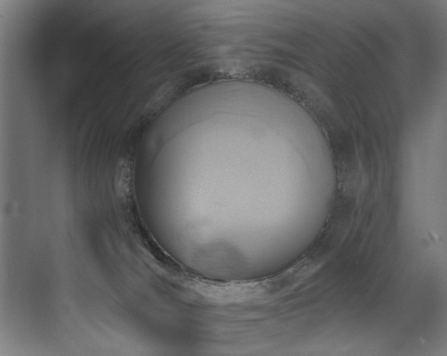 X0000072930036200607211139
