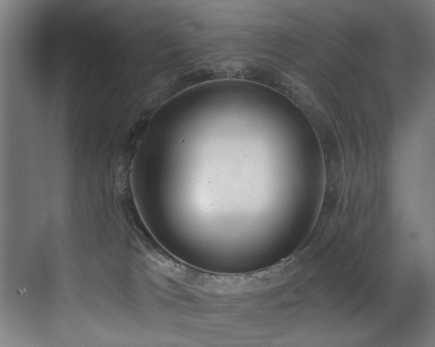 X0000072930037200607211139