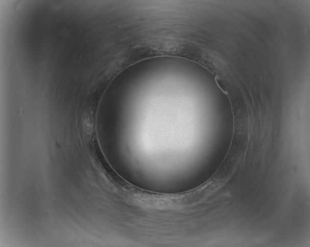 X0000072930040200607211139