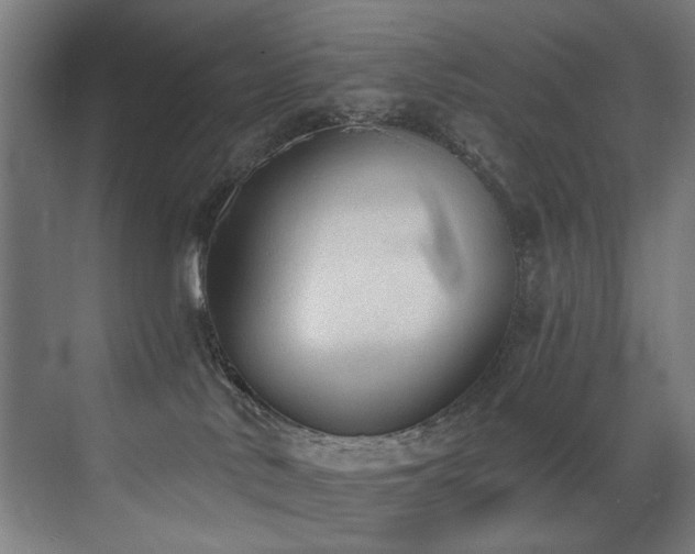 X0000072930042200607211139
