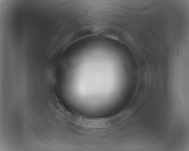 X0000072930044200607211139