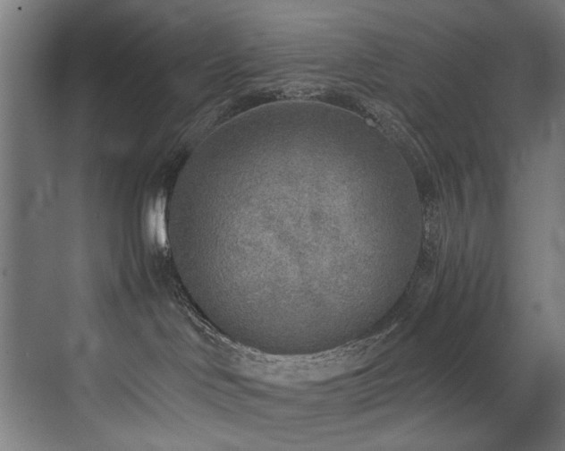 X0000072930046200607211138