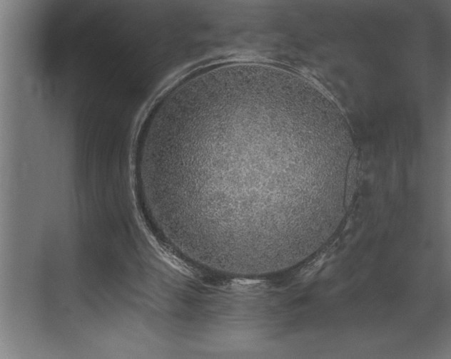 X0000072930055200607211138