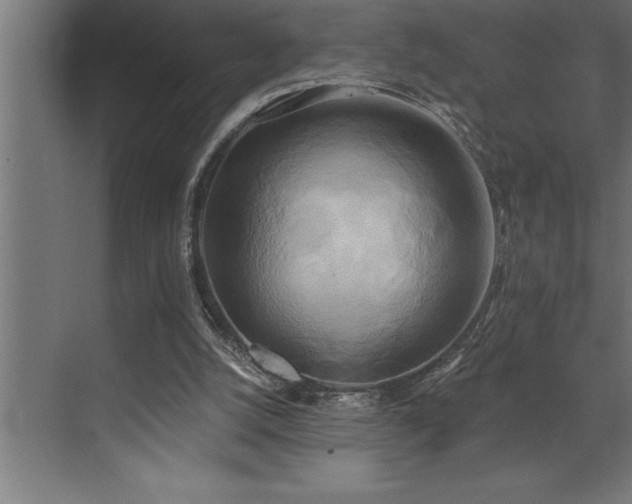 X0000072930056200607211138