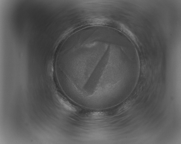 X0000072930059200607211138