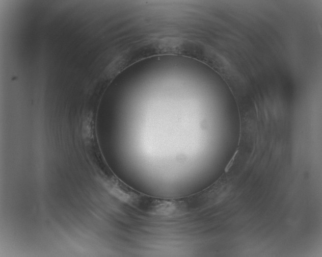 X0000072930083200607211138