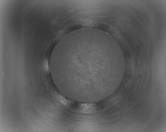 X0000072930089200607211138