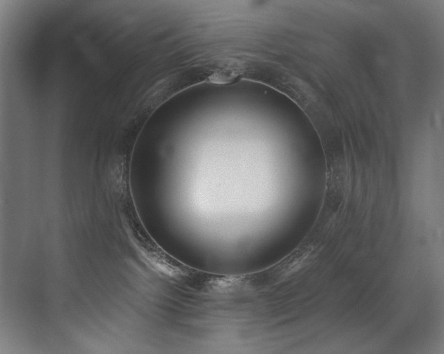 X0000072930092200607211138