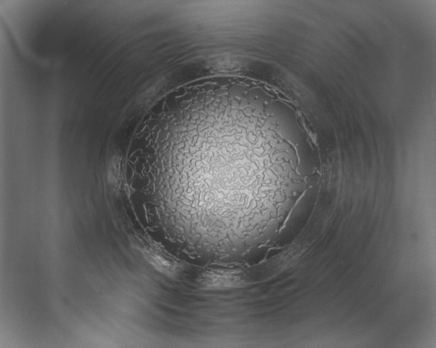 X0000072930093200607211138