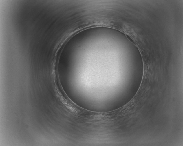 X0000072930098200607211138