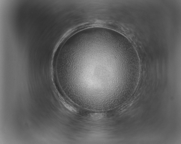 X0000072930102200607211138
