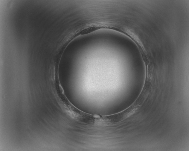 X0000072930109200607211137