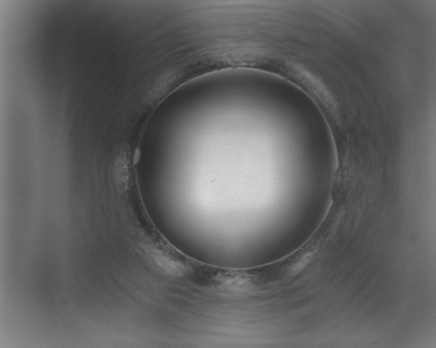 X0000072930113200607211137