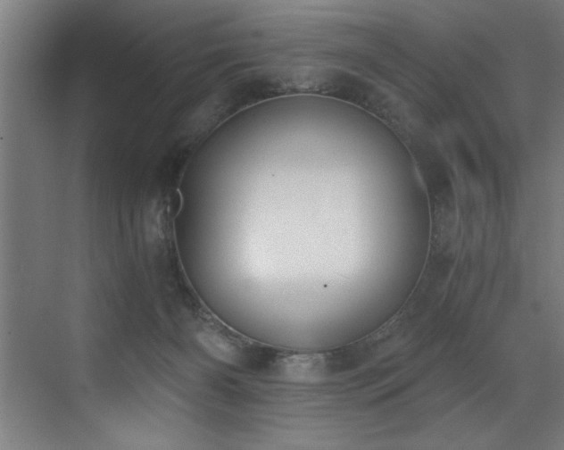 X0000072930126200607211137