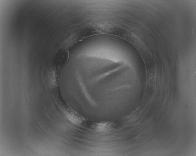 X0000072930130200607211137