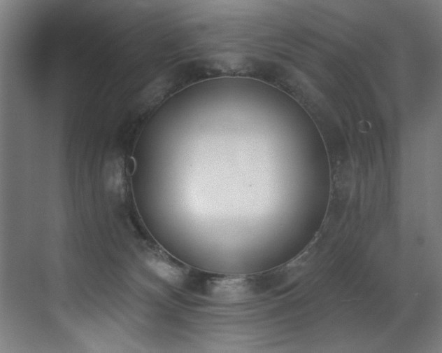 X0000072930132200607211137