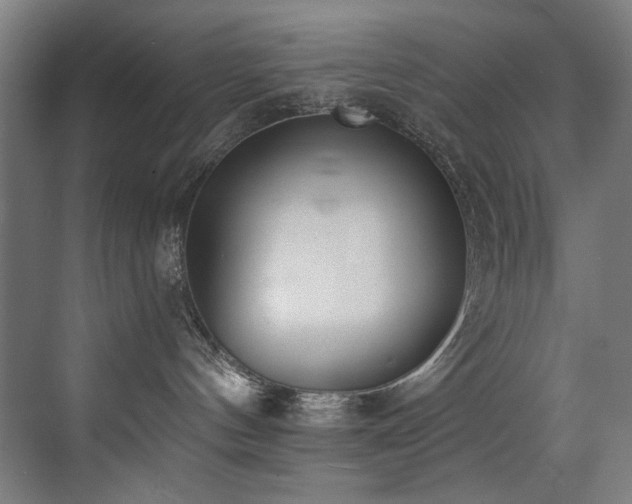 X0000072930144200607211137