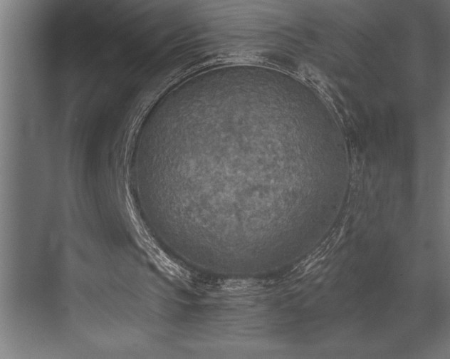 X0000072930145200607211136