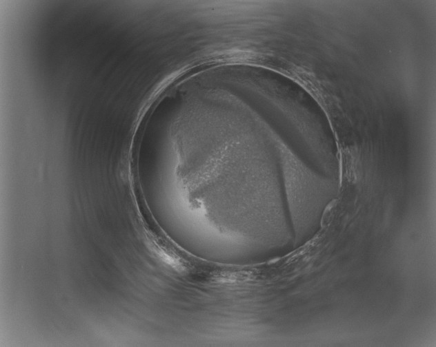 X0000072930147200607211136