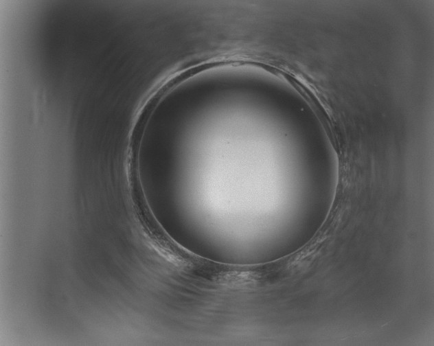 X0000072930152200607211136