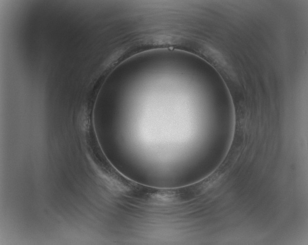 X0000072930164200607211136