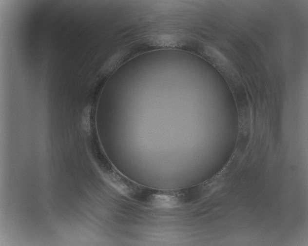 X0000072930167200607211136