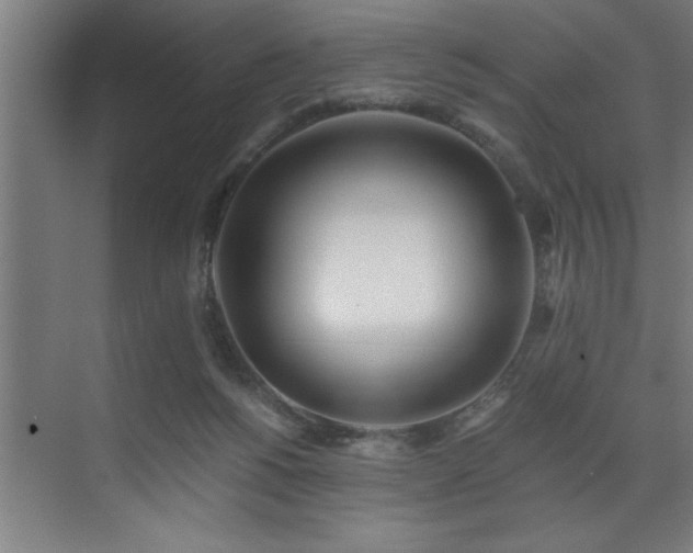 X0000072930168200607211136
