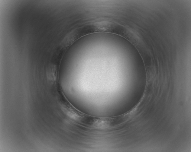 X0000072930174200607211137