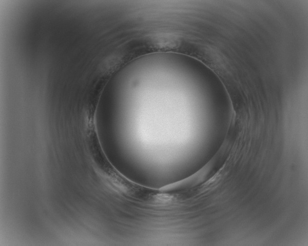 X0000072930176200607211137