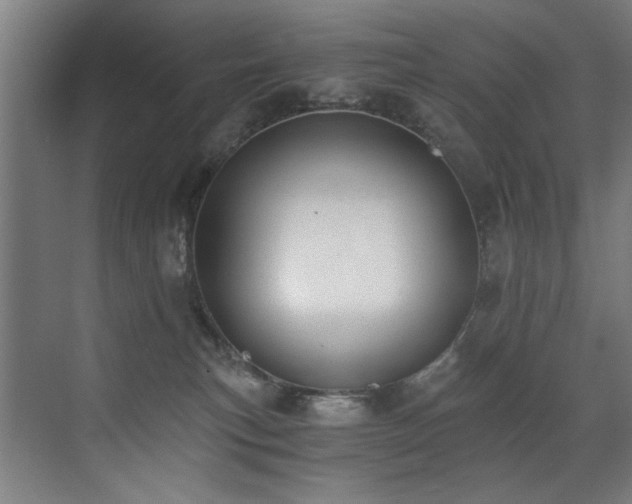 X0000072930183200607211137