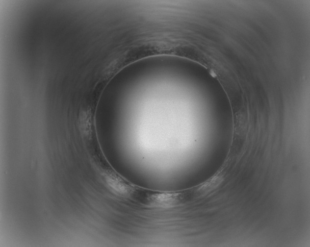 X0000072930184200607211137