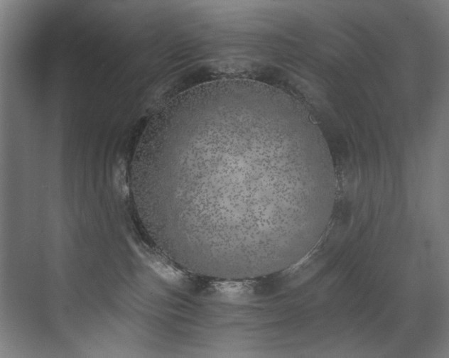 X0000072930187200607211137