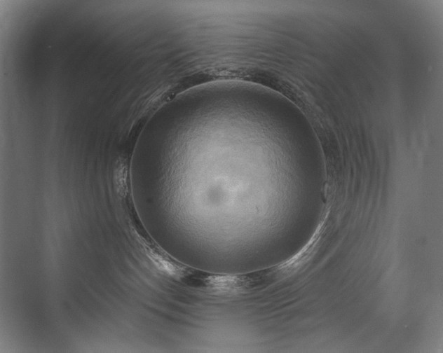 X0000072930192200607211137