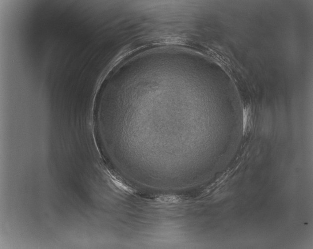 X0000072930195200607211136