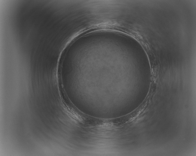 X0000072930196200607211136