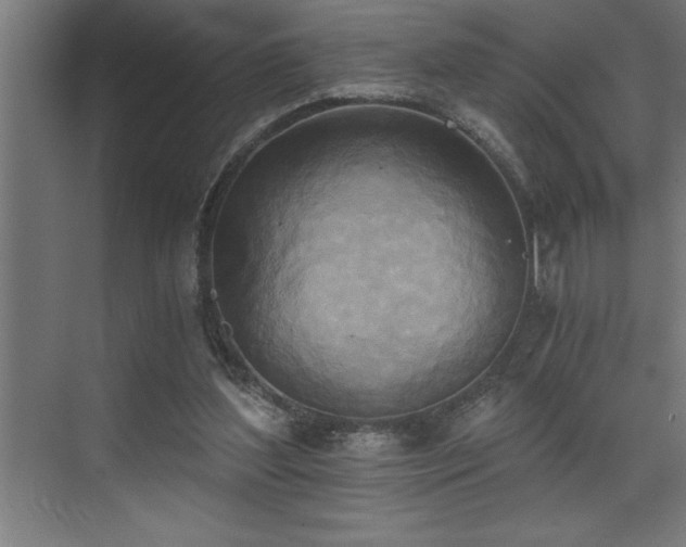 X0000072930204200607211136