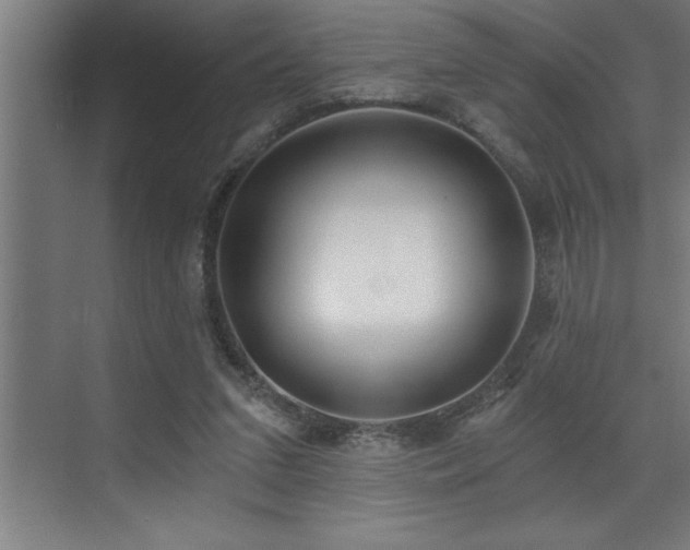 X0000072930207200607211136