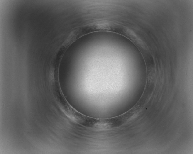 X0000072930213200607211136